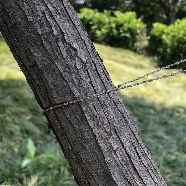 Scie à Fils Compacte de Survie pour la Randonnée